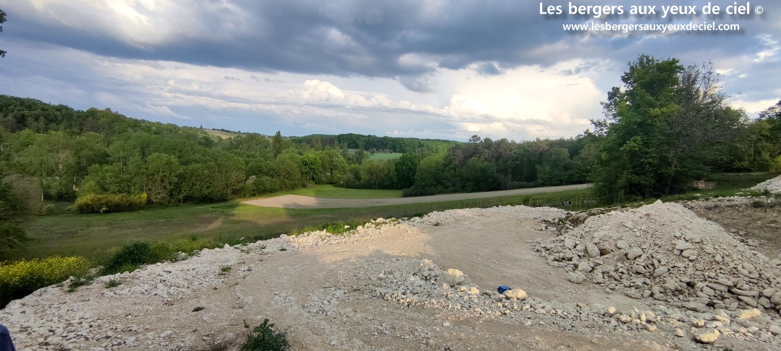 élevage les bergers aux yeux de ciel