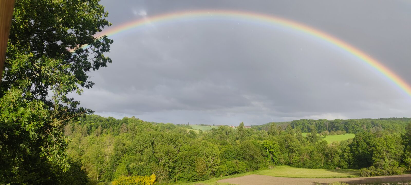 élevage les bergers aux yeux de ciel