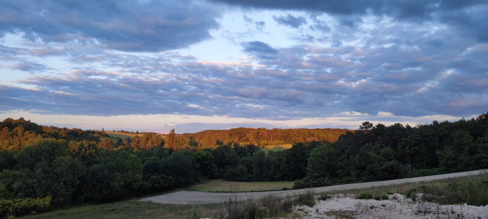 élevage des bergers aux yeux de ciel