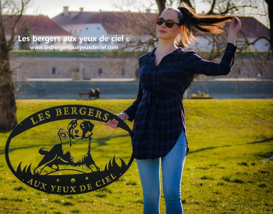 élevage des bergers aux yeux de ciel