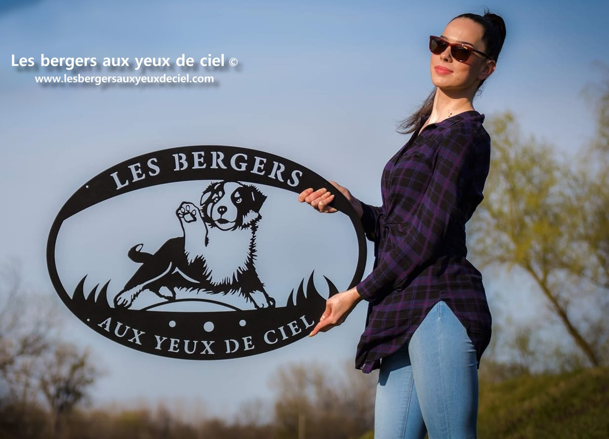 élevage les bergers aux yeux de ciel