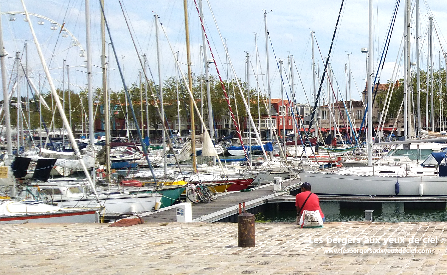 La cavalcade de La Rochelle avec un berger australien rouge tricolore aux yeux bleus un peu perturbateur