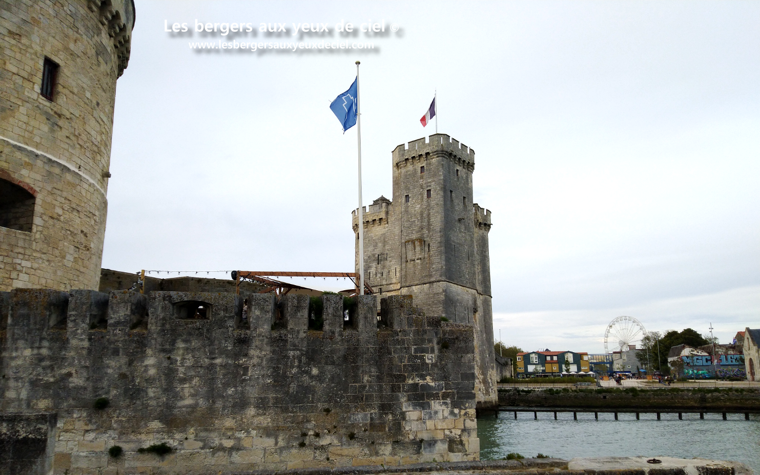 La cavalcade de La Rochelle avec un berger australien rouge tricolore aux yeux bleus un peu perturbateur