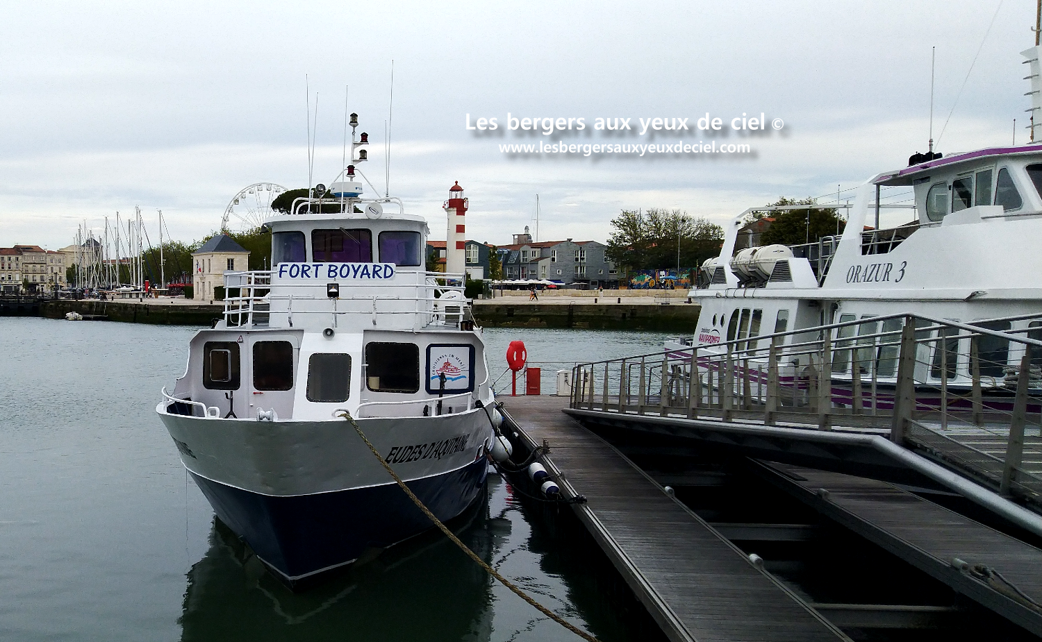 La cavalcade de La Rochelle avec un berger australien rouge tricolore aux yeux bleus un peu perturbateur