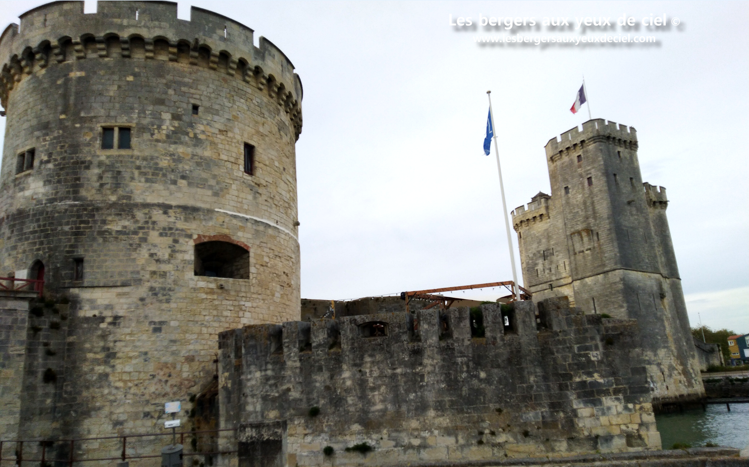 La cavalcade de La Rochelle avec un berger australien rouge tricolore aux yeux bleus un peu perturbateur